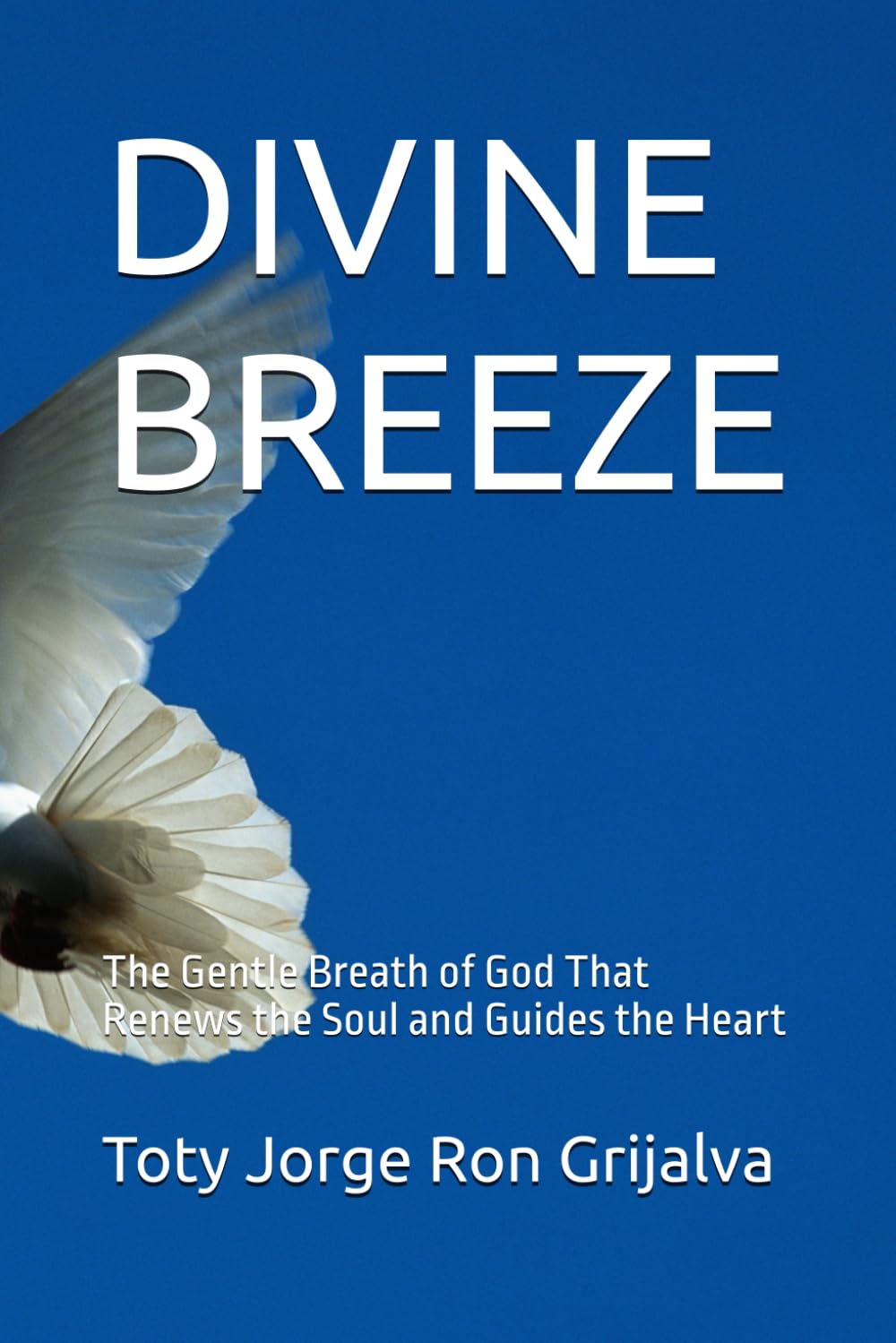 DIVINE BREEZE: The Gentle Breath of God That Renews the Soul and Guides the Heart (Colección Camino de Oración)