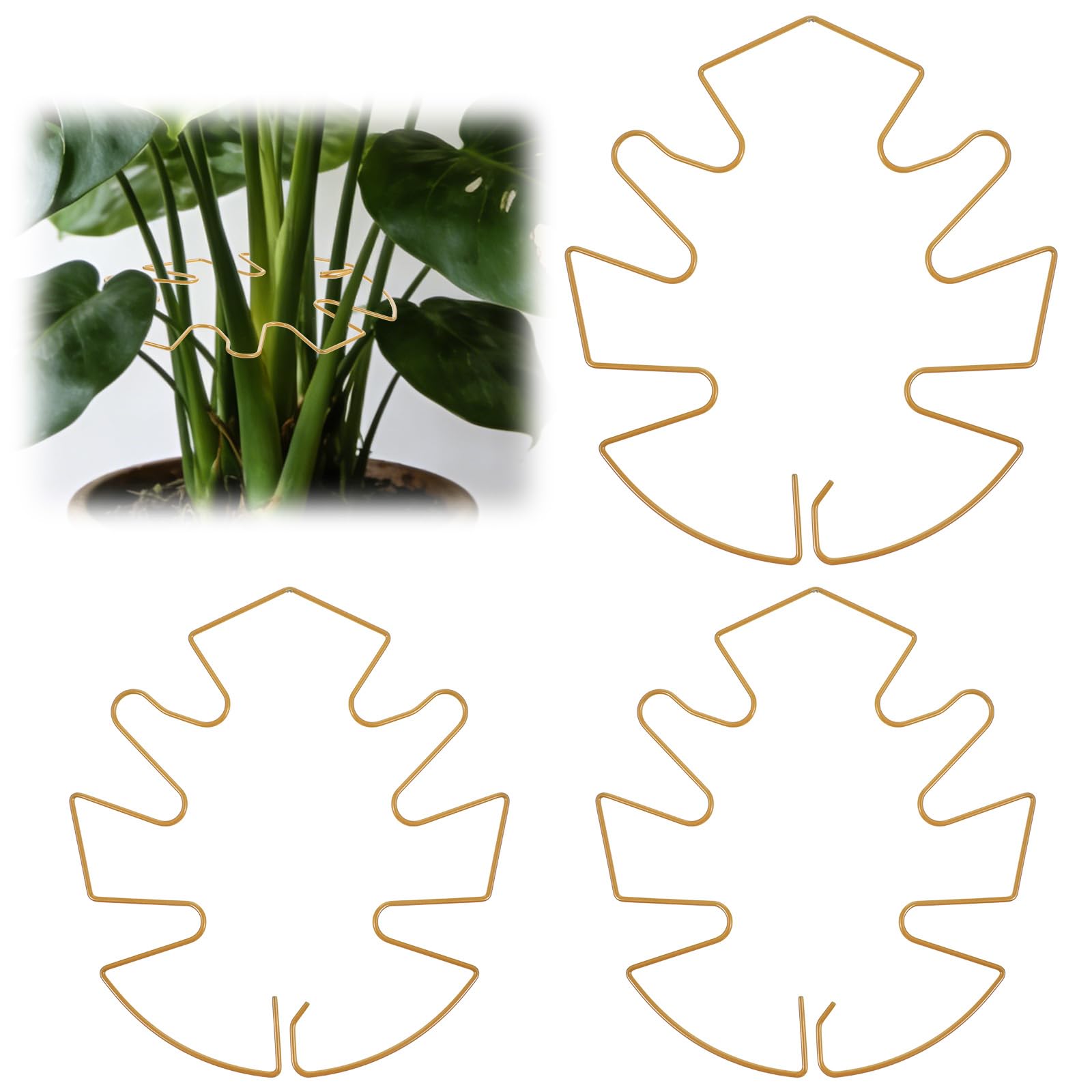 Photo 1 of Grevosea 3Pcs Monstera Leaf Plant Support, Gold Metal Monstera Leaf Plant Support Unique Turtle Shell Plants Holder Stakes for for Outdoor & Indoor Growing Climbing Plants Stabilization and Supports