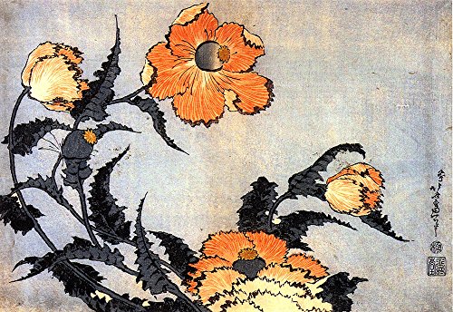 Cuadro de amapolas de Katsushika Hokusai, lámina pequeña con marco negro 2