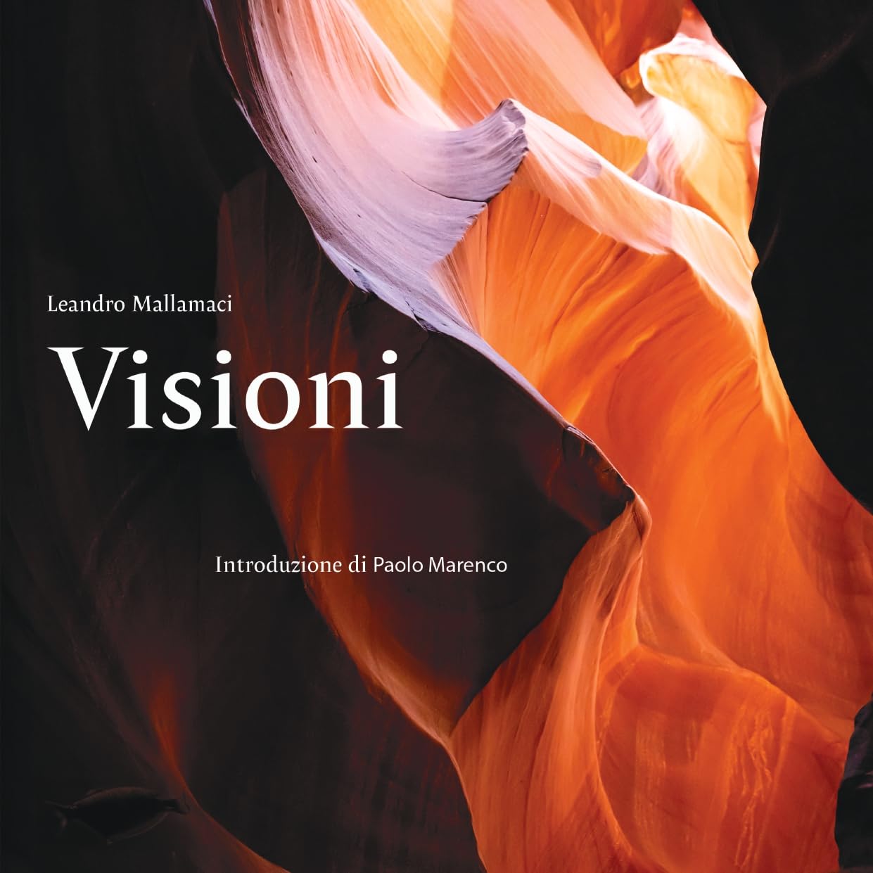 Visioni Italian Edition livre d'art et de culture italienne broché