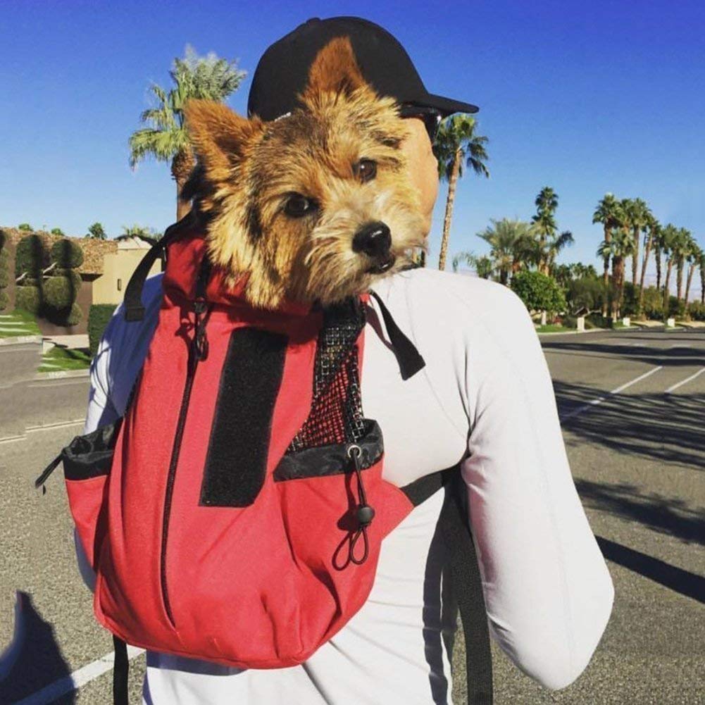 Breathable Foldable Dog Carrier Backpack - Pet Travel Bag for Dogs Cats - Portable and Safe,Red,M - Image 3