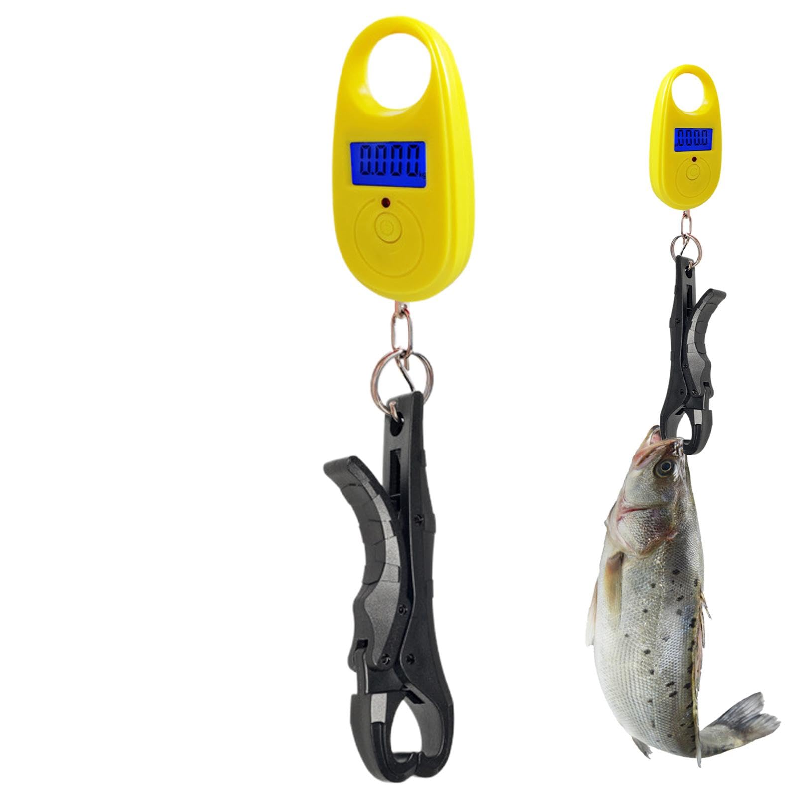 Escalas de pescado, escamas de,Báscula electrónica de - Báscula digital portátil almacena 25 kg, báscula de electrónica de alta precisión