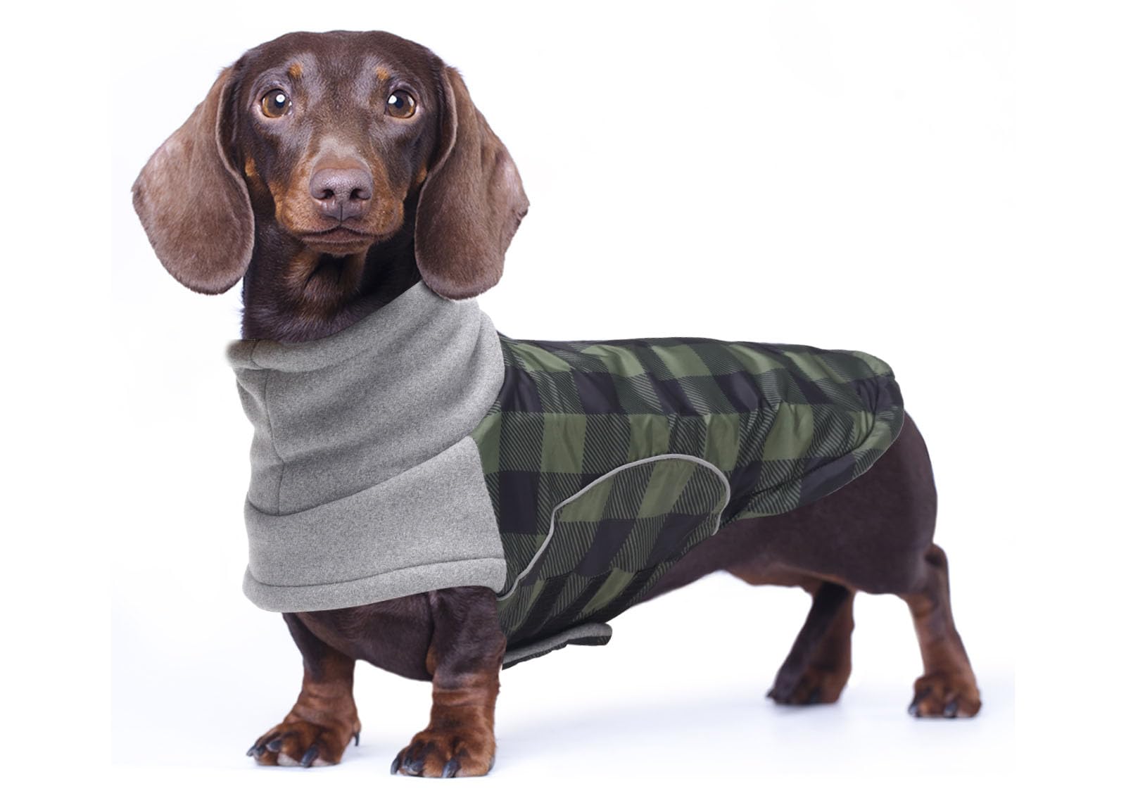 babepet Waterproof Small Dog Winter Coat,Dachshund Coat Clothes,Miniature Dachshund Jacket,Pet Garment Ideal for Walking,Hiking,Camping-Green Plaid-M
