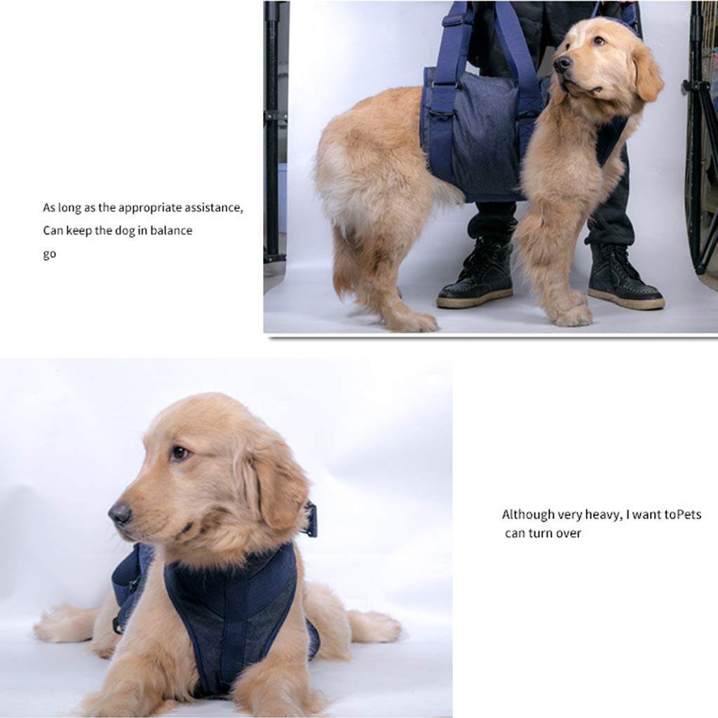 Arnés para cachorros con chaleco acolchado para perros mayores, fácil control, transpirable, arnés de malla para todo tipo de clima, para perros grandes