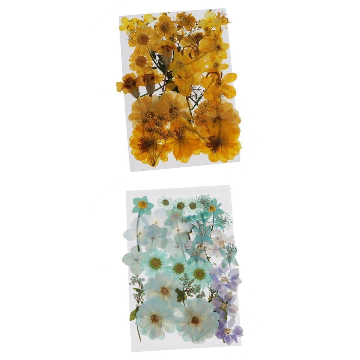 Enakshi Natural Real Pressed Dried Flowers DIY Scrapbook Yellow + Light Blue-image-36