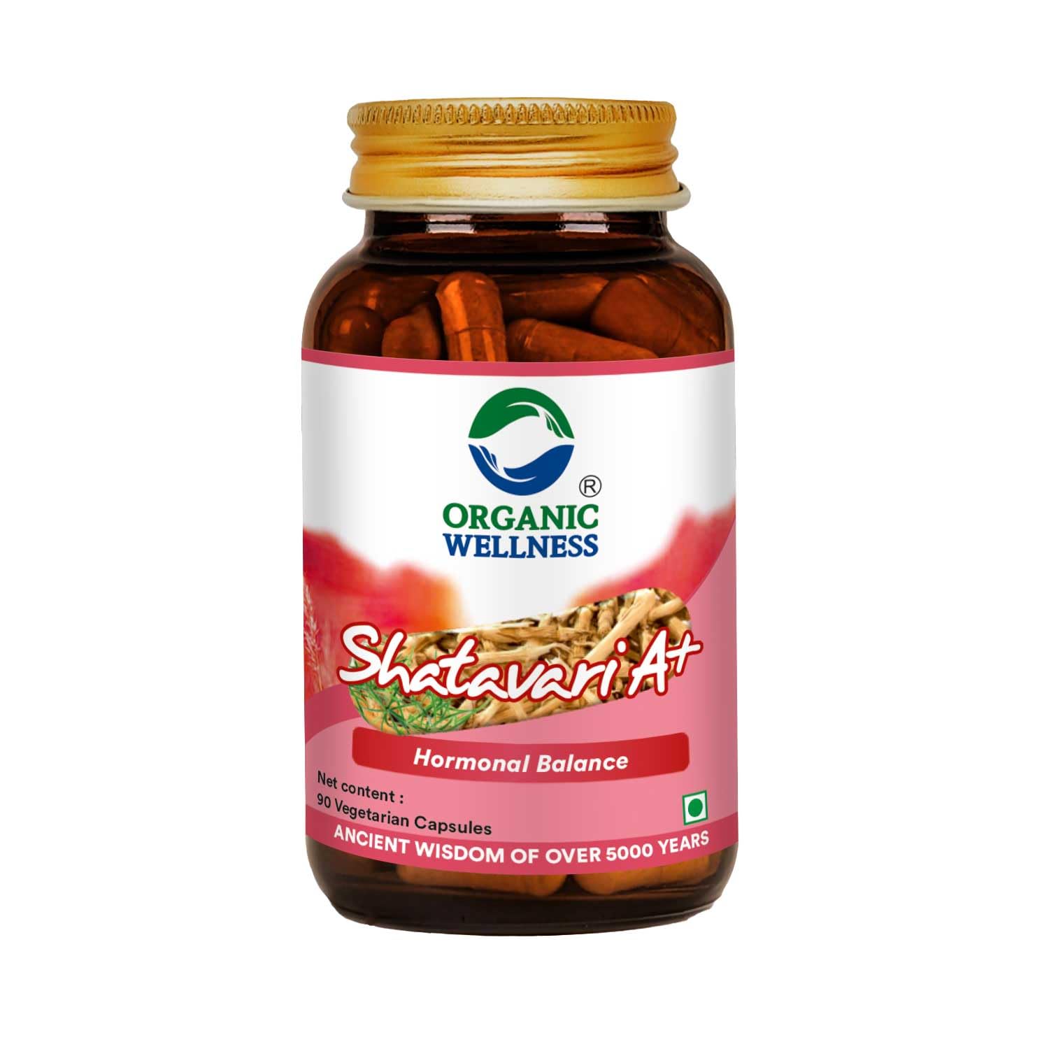 Organic Wellness Shatavari Capsule|| Supports Womens Health & Reproductive Health II Supplement for Hormonal Balance || Helps Relieve Fluid Retention Organic Wellness Shatavari A+ (90 Capsules Pack-1) (B01N6R3IAM) Amazon Price History, Amazon Price Tracker