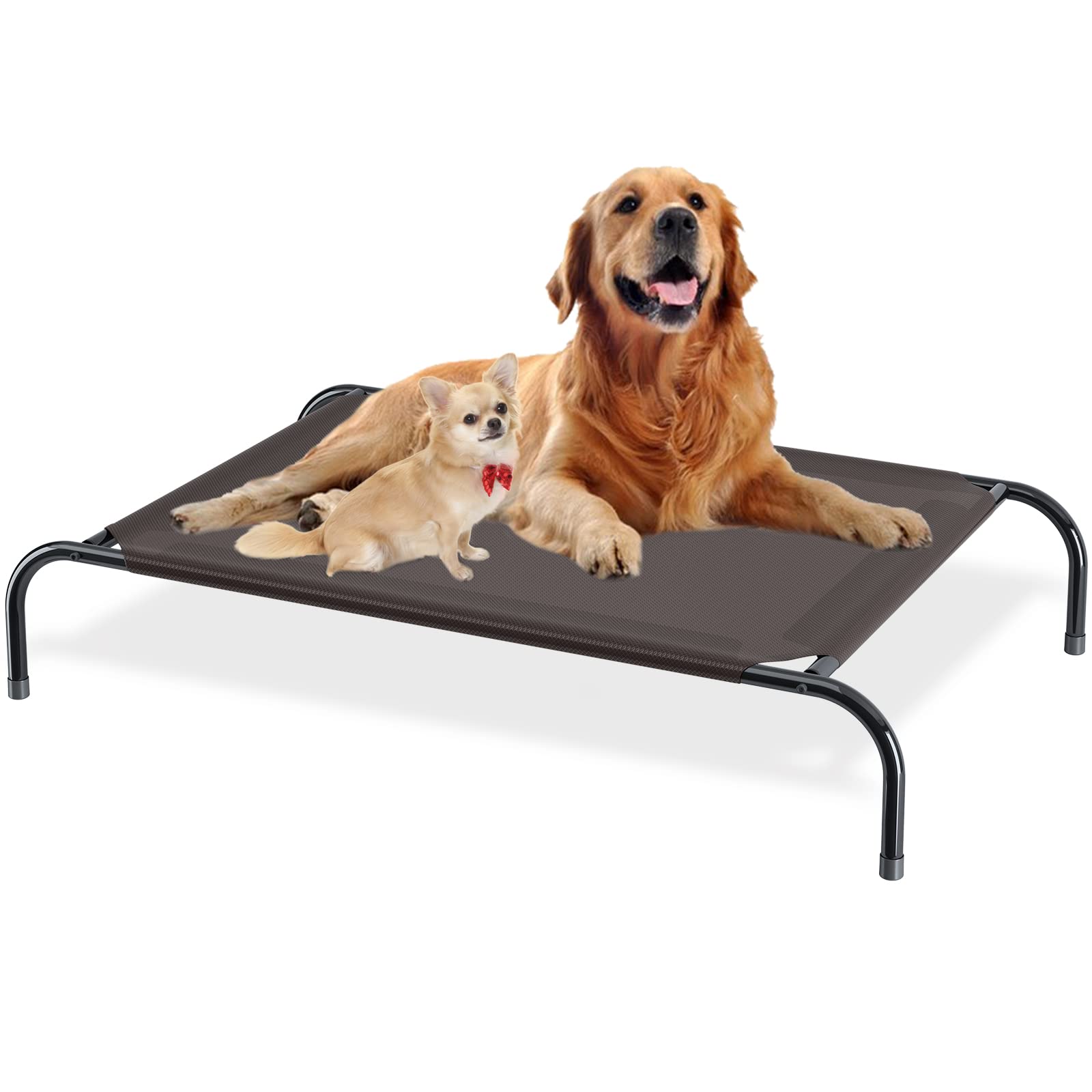 Why Do Dogs Chew Up Their Beds