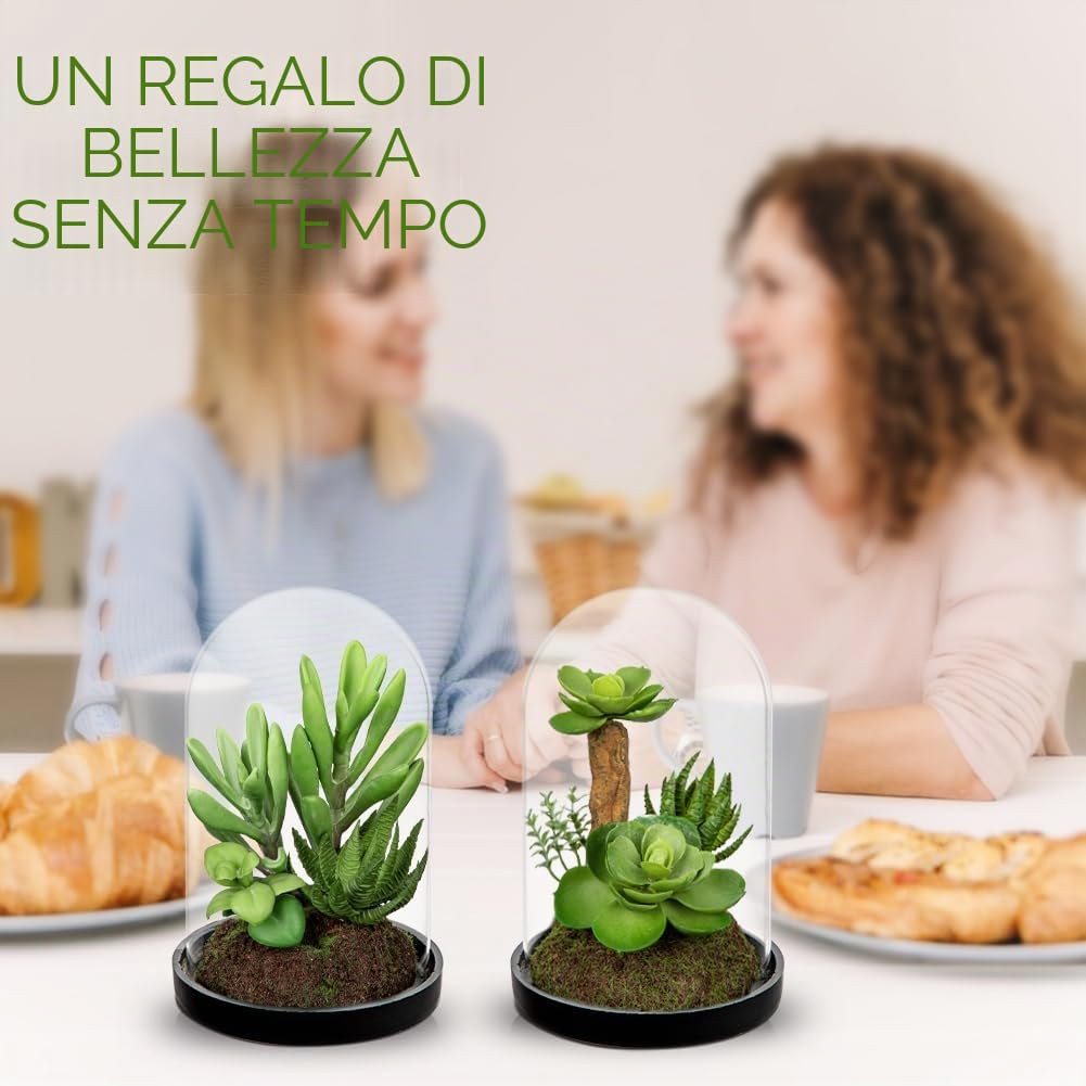 2 piante grasse artificiali in campana di vetro trasparente, 15 cm, piccole piante grasse finte con muschio, pianta decorativa per interni, ufficio, mensola, davanzale, centrotavola