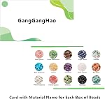 GangGangHao 1888 Pcs Natural Chip Stone Beads About 500g Irregular Gemstones Healing Crystal Loose Rocks Bead Hole Drilled DIY for Bracelet Jewelry Making Crafting (5-8mm, 15 Color Mix-S1)