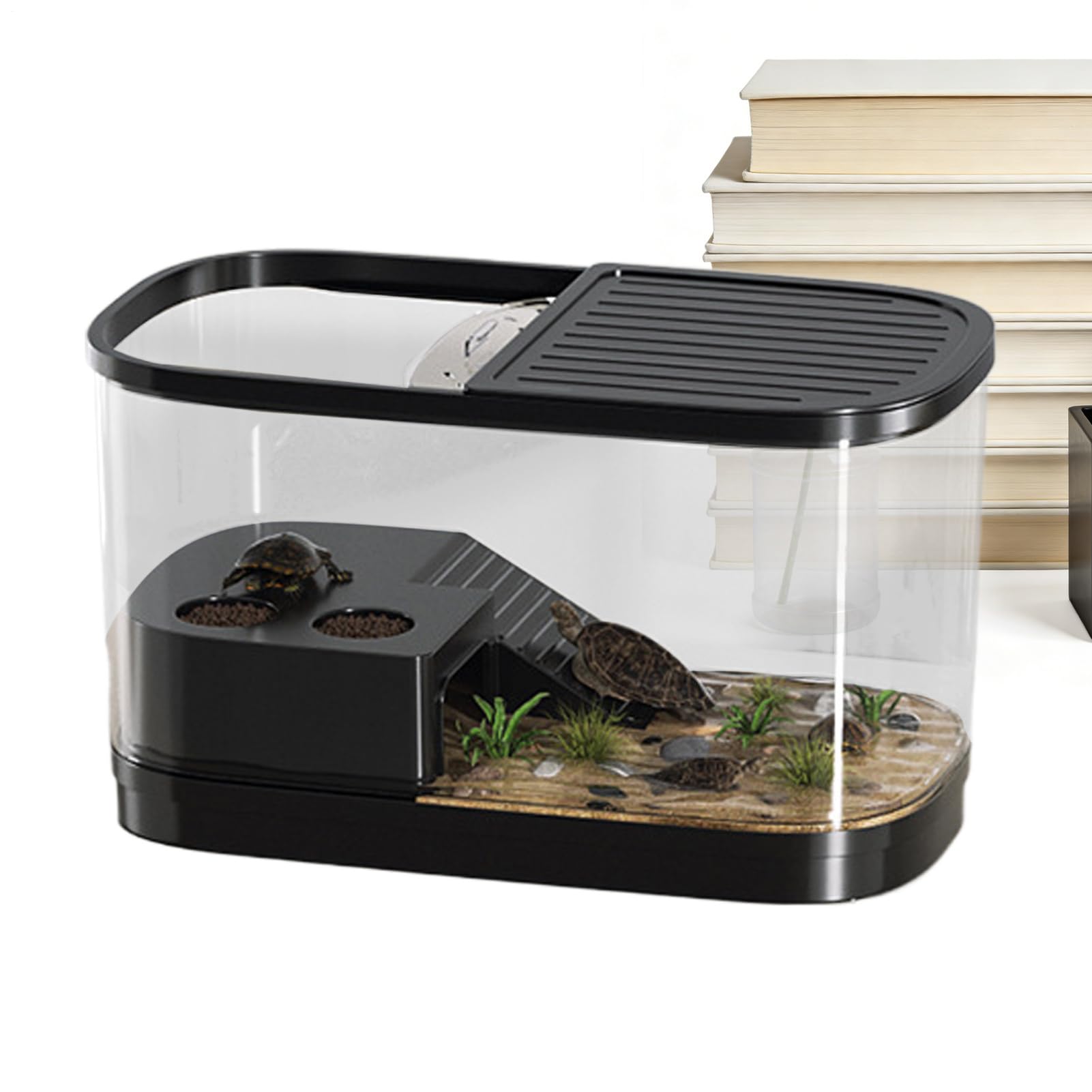 Terrario per Drago Barbuto Vivarium per Rettili | Vasca Habitat Snack Adatto per , tarantole, camaleonti, draghi barbuti, gechi, tartarughe, , rane