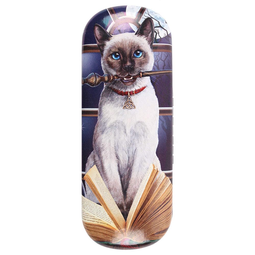 Lisa Parker Men's Various Glasses/Spectactle Case/Holder ~ Hocus Pocus (Cat)