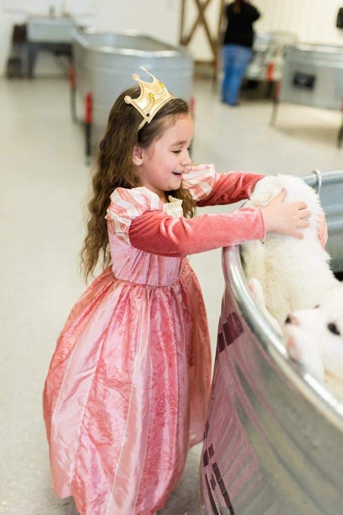 Miniatura 6 de Little Adventures Disfraz de princesa renacentista coral para niñas