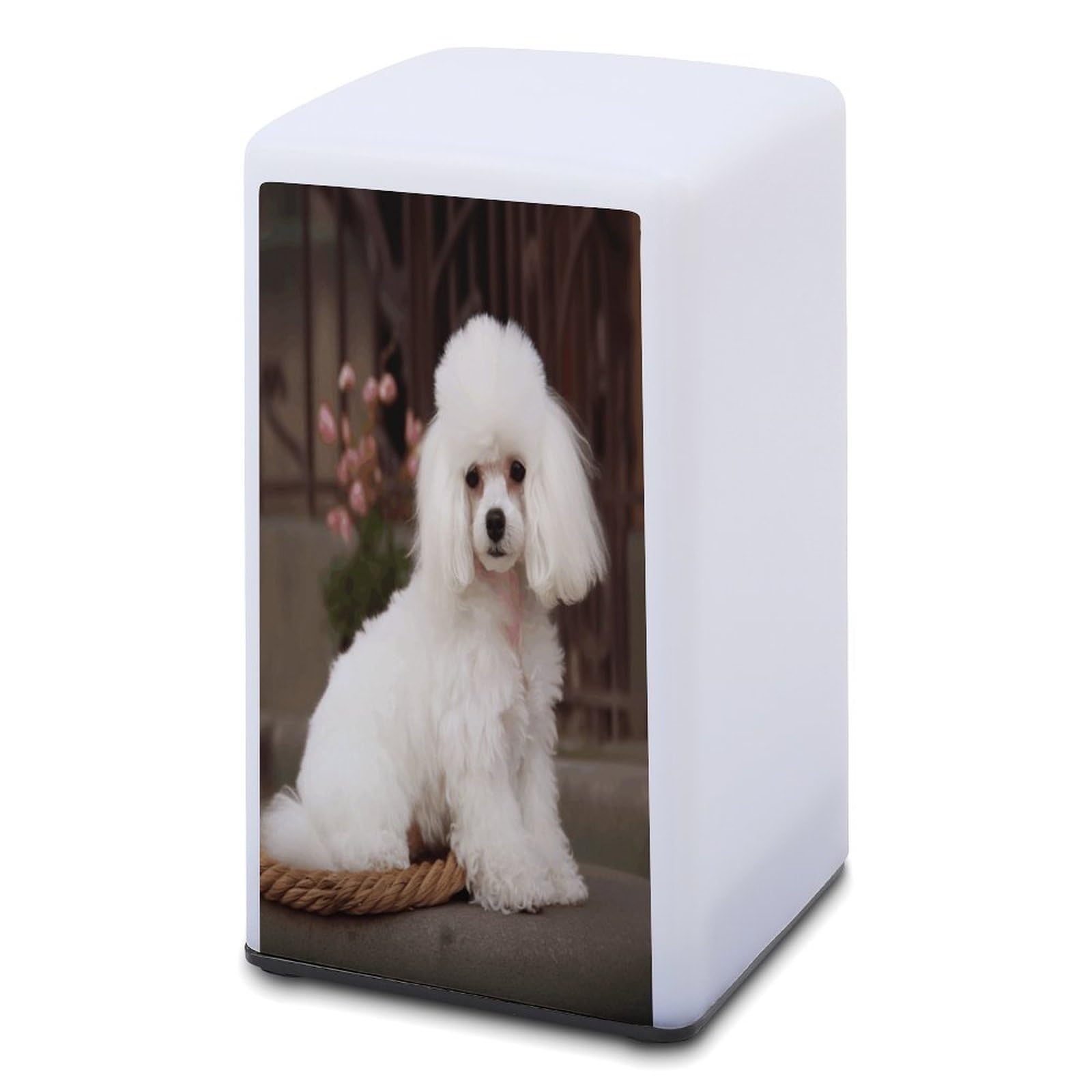 YHEGBFD Small Desk Lamp, French Poodle Bedside Table Lamp,Table Lamp Ablebattery Operated for Nightstand/Bedroom/Living Room/Dorm