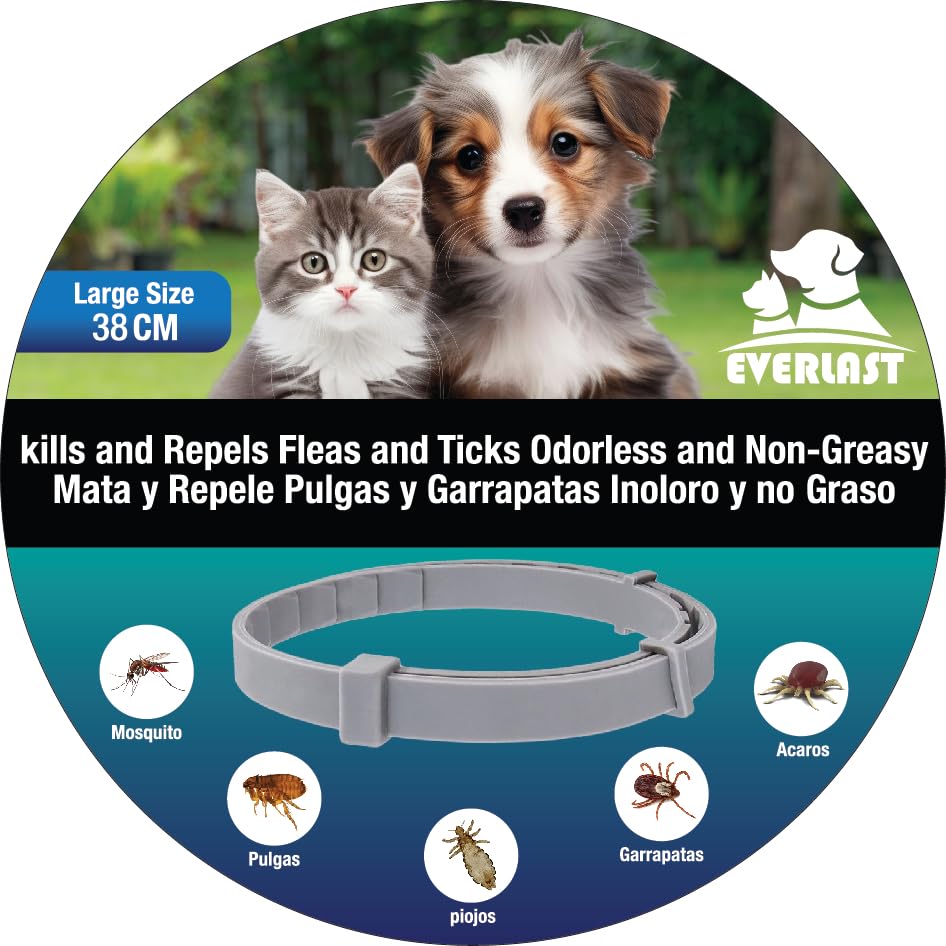 Tempotech Original ® Collar Antiparasaitario - Perro y Gatos - 8 Meses de Protección - contra Pulgas Garrapatas Mosquitos Ácaros y Piojos - Especial Perros Pequeños (Everlast 38cm)