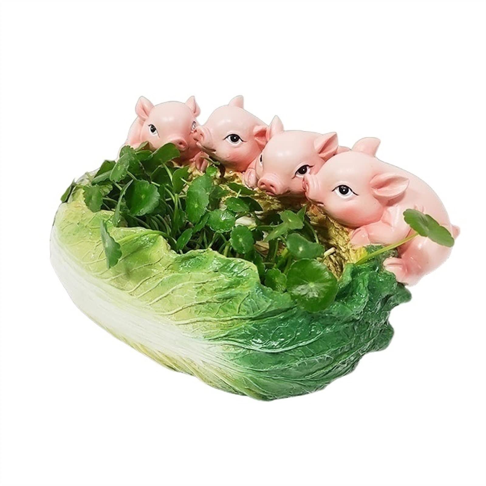 Plante succulente et pot pour plantes d'intérieur créatif pour maison et salon