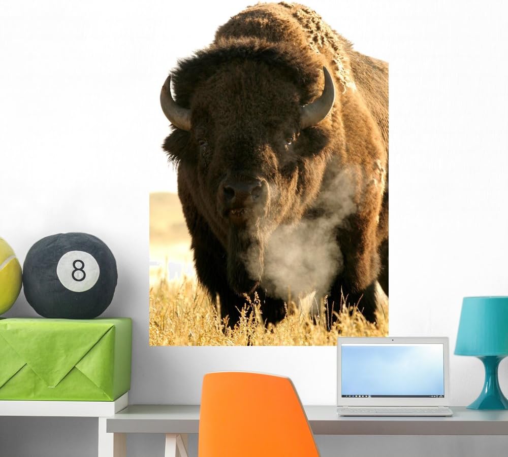 Wallmonkeys Bison Wall Mural Peel and Stick Animal Graphics (36 in H x 24 in W) WM338935