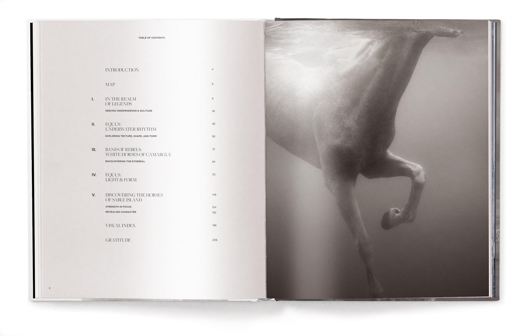 Untamed Spirits: Horses from Around the World /anglais/allemand