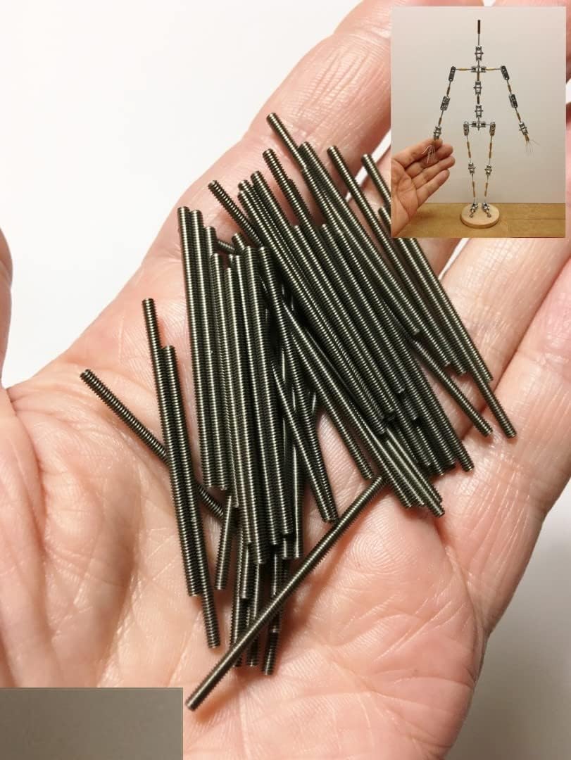 M01082-50 50pc Threaded Rod M2 40mm M2x16 All Thread for Stop Motion Puppet Armature Humanly Posable Parts HPA QC1