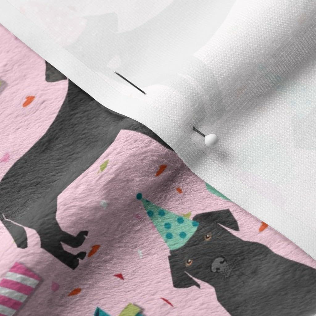 Spoonflower Fabric - Black Lab Birthday Party Dog Breed Labrador Retriever Pink Dogs Printed on Minky Fabric by The Yard - Sewing Baby Blankets Quilt Backing Plush