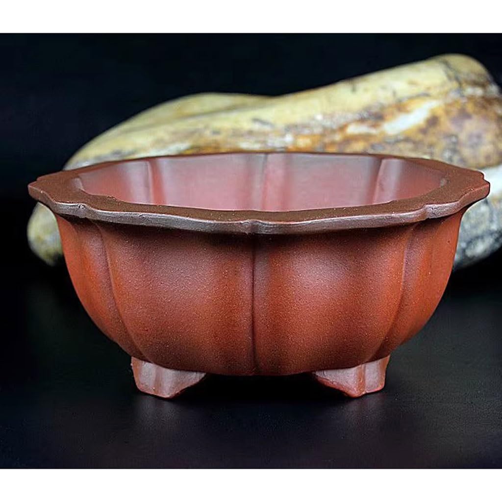 Doniczka na rośliny Purple Clay Bonsai Sadzarka Ręcznie robiona Koła Doniczka w kształcie kwiatu Zielona Doniczka Roślina 5.1 cala Doniczki