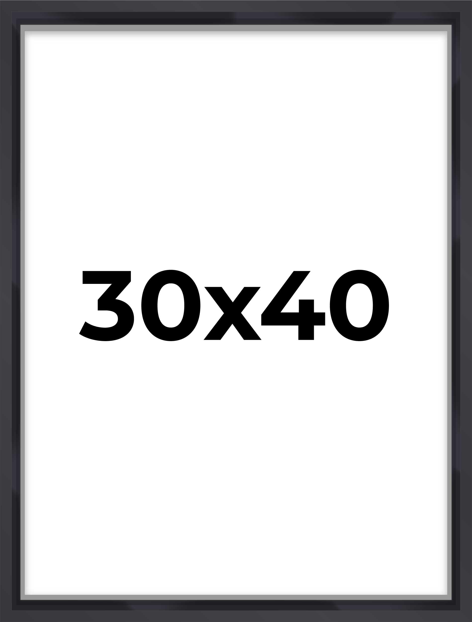 Poster Palooza 30x40 Shadow Box