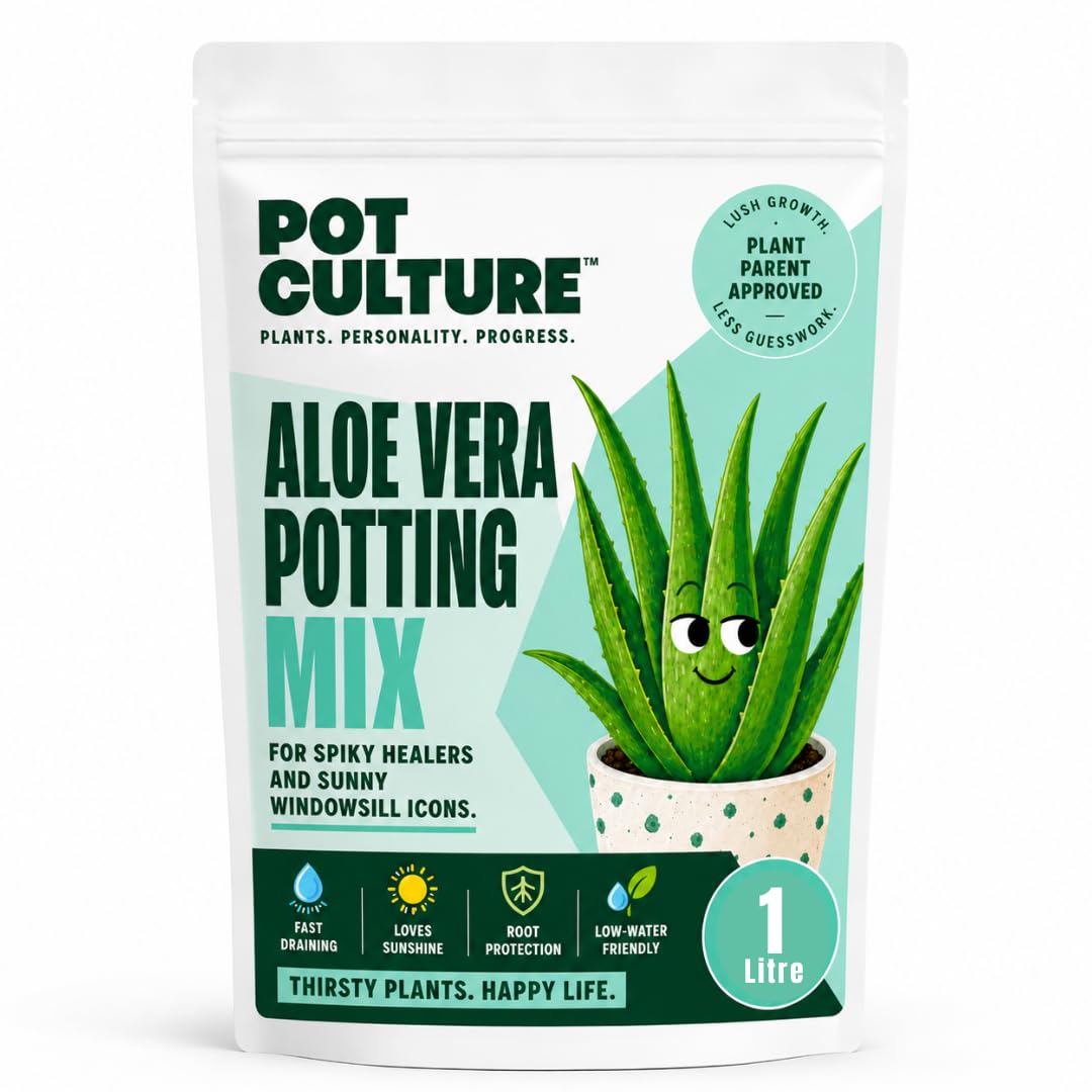 POT CULTURE Aloe & Succulent Potting Mix - The Ultimate Desert Glow-Up - Chunky Pumice, Bark & Perlite Blend for Iconic Spikes & Aerated Roots - Gnat-Free (1L)