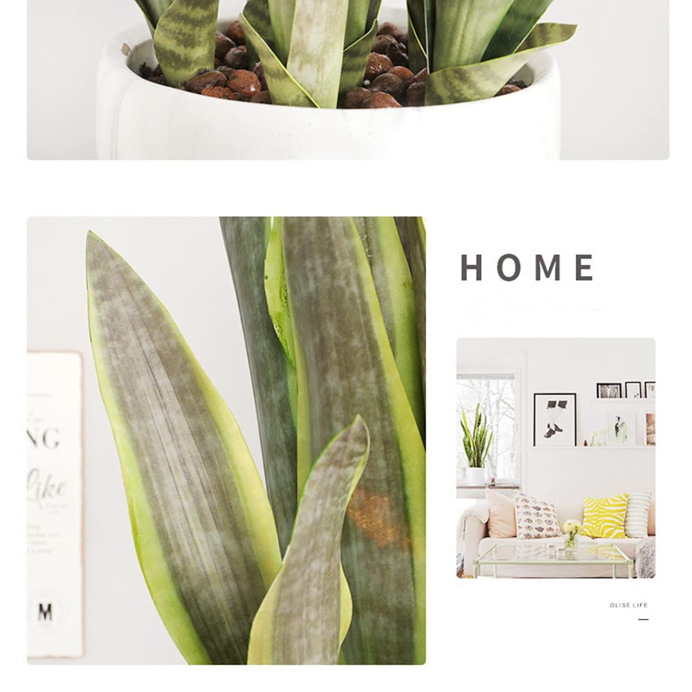 Amazon.com: XZJMY Fake Snake Plant 16.5" Artificial Plant Fake Sansevieria  for Home Office Store Decoration,Without Vase (3Pcs, Green) : Home & Kitchen