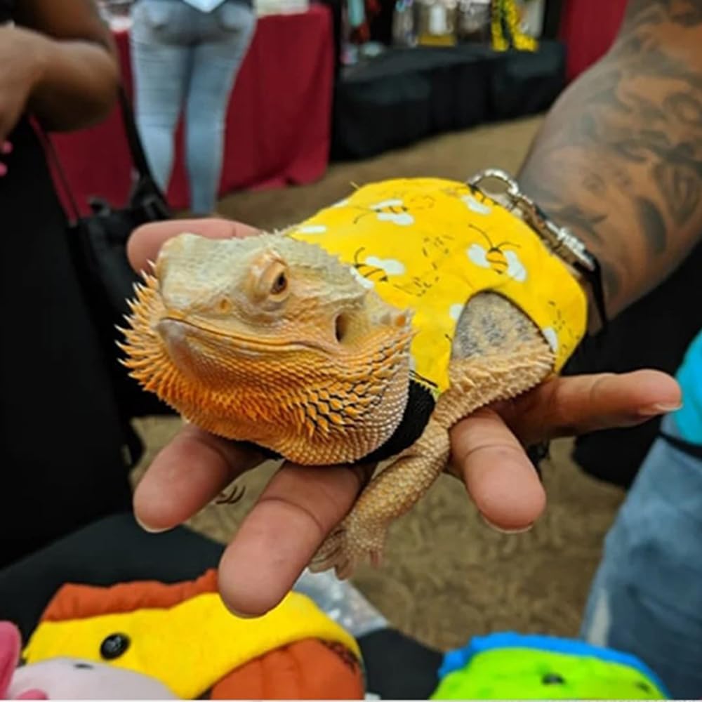 Bearded Dragon Toys Adorable Lizard Clothes With Leash Cozy
