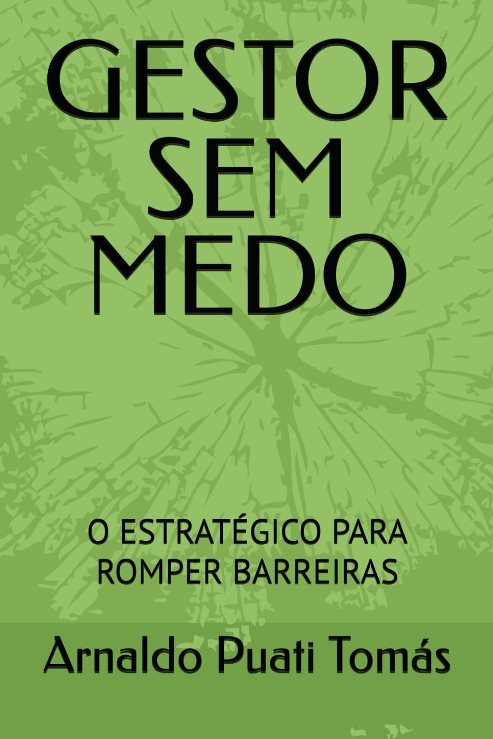 GESTOR SEM MEDO: O ESTRATÉGICO PARA ROMPER BARREIRAS (Edições Académicas Arnaldo Puati Tomás)