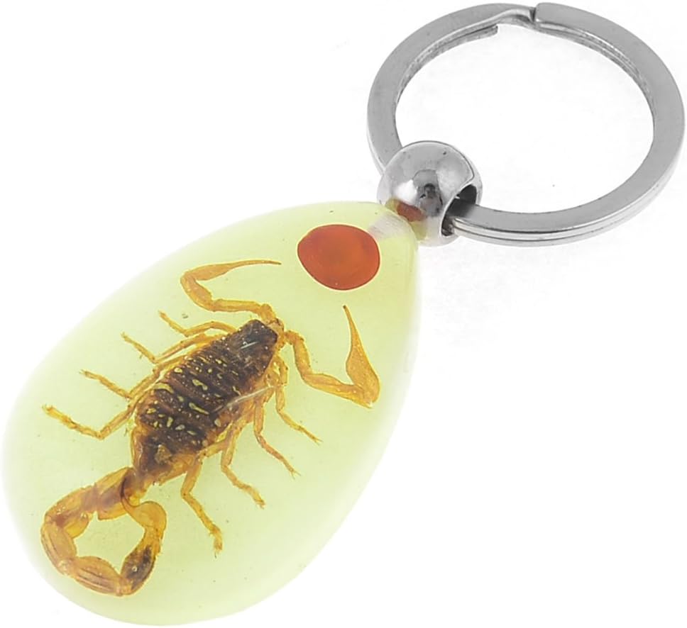 ZHuidjo Green Raindrop Shaped Amber Pendant Split Flat Ring Key Chain Decor (SN: 90a fd3 1b6 603 638)