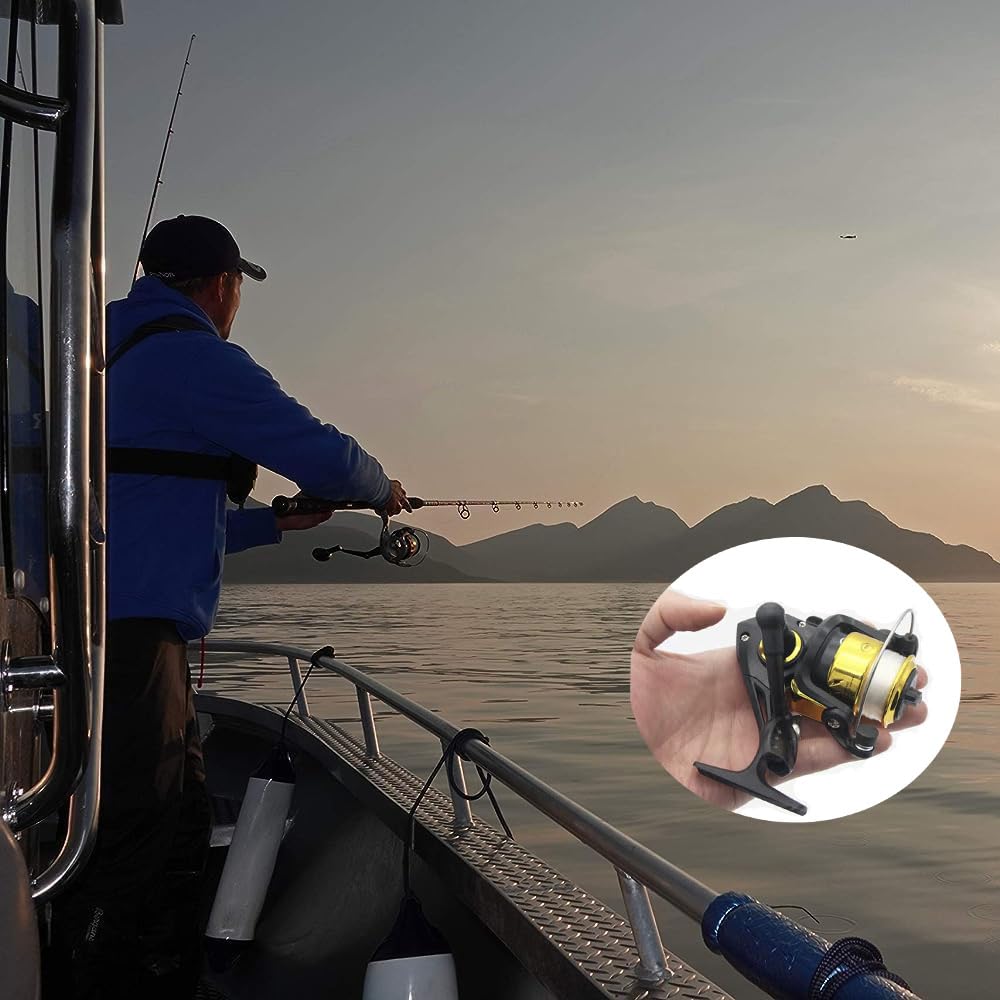 200 Girelle Da Pesca - 5 Misure, Acciaio Inox, Per Trota E Carpa, Scatola Inclusa