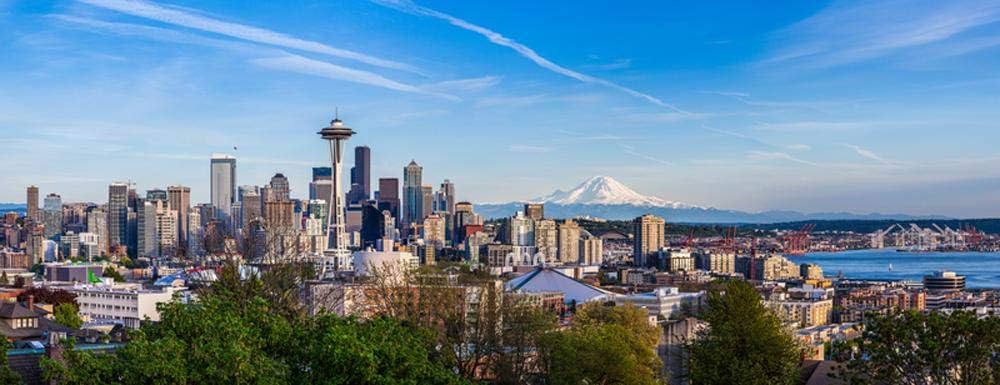 Wallmonkeys Panorama Seattle Downtown Skyline Wall Mural Peel and Stick Vinyl Graphic (60 in W x 23 in H) WM525509
