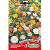 Germisem EC1526 California Mix Zaden 1.5 g