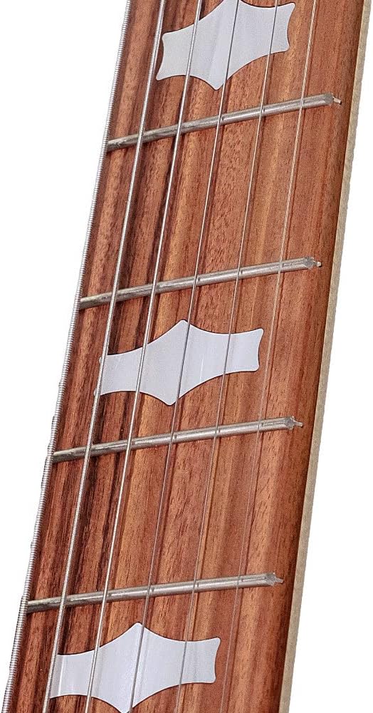 Six-String Banjo by Deering