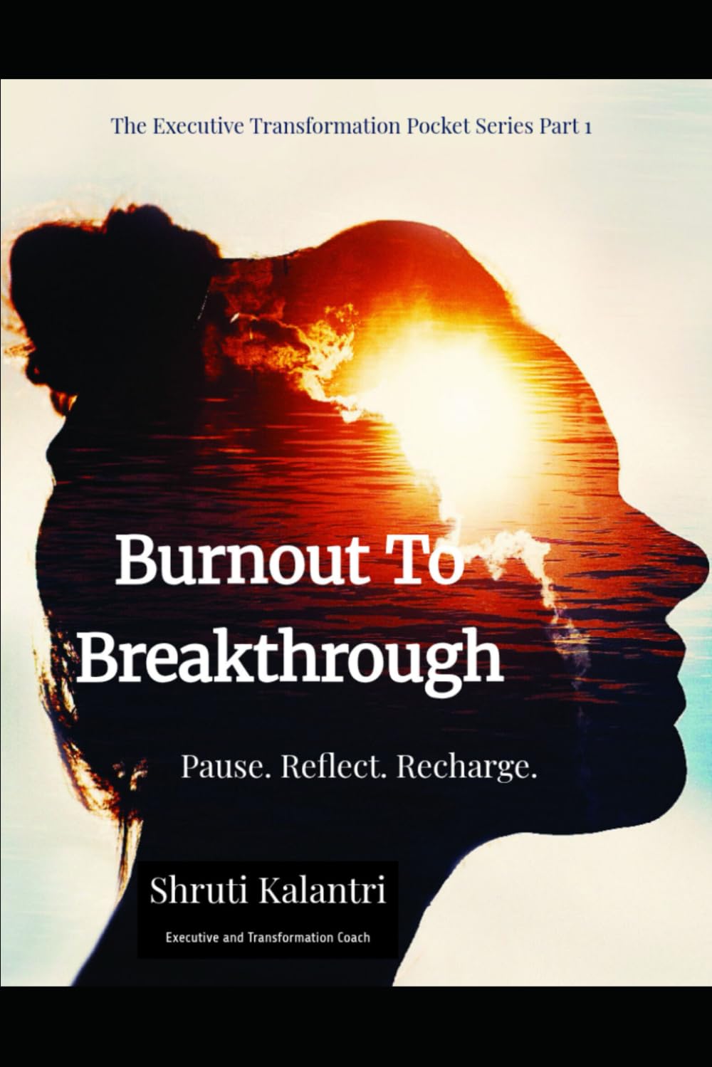 Burnout to Breakthrough: Pause. Reflect. Recharge. (Executive Transformation Pocket Series: Tools for Clarity, Confidence, and Calm)