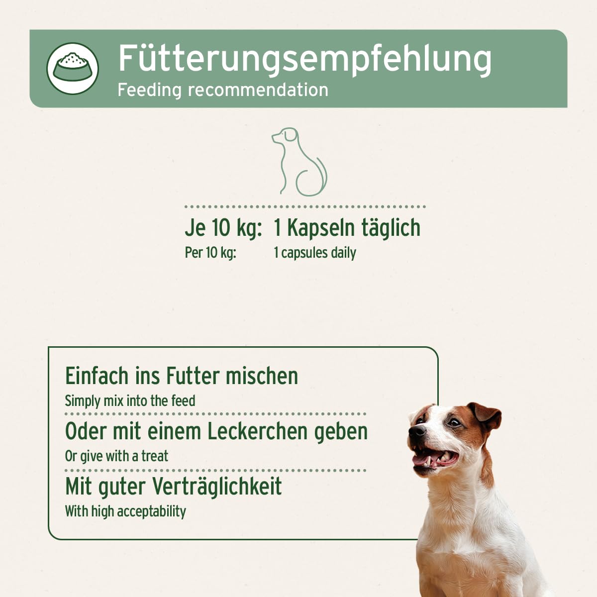 AniForte Weihrauchkapseln für Hunde 100 Stück - Natürliche Gelenktabletten mit Boswelliasäure, Unterstützung der Gelenke & Gelenkfunktion, Weihrauch Tabletten für Hundegelenke