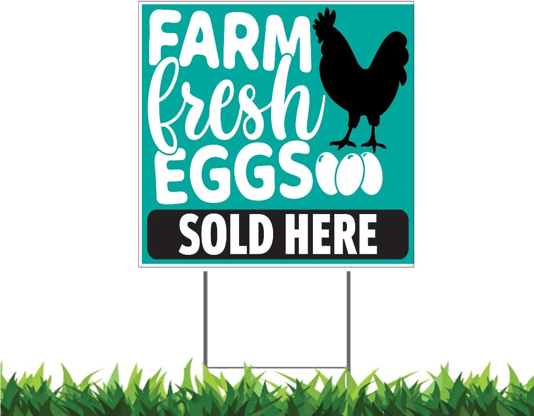 Moonlight4225 Farm Fresh Eggs Sold Here v1 24x24 Square