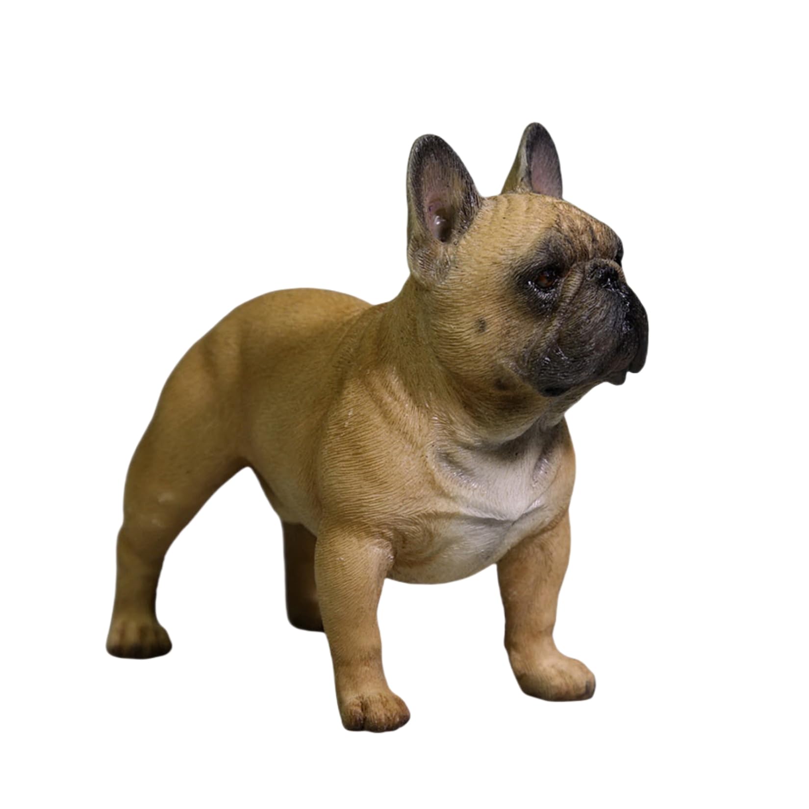 Amazon.co.jp: JXK 1:6サイズ フレンチ·ブルドッグ 8cm 犬 動物 リアル