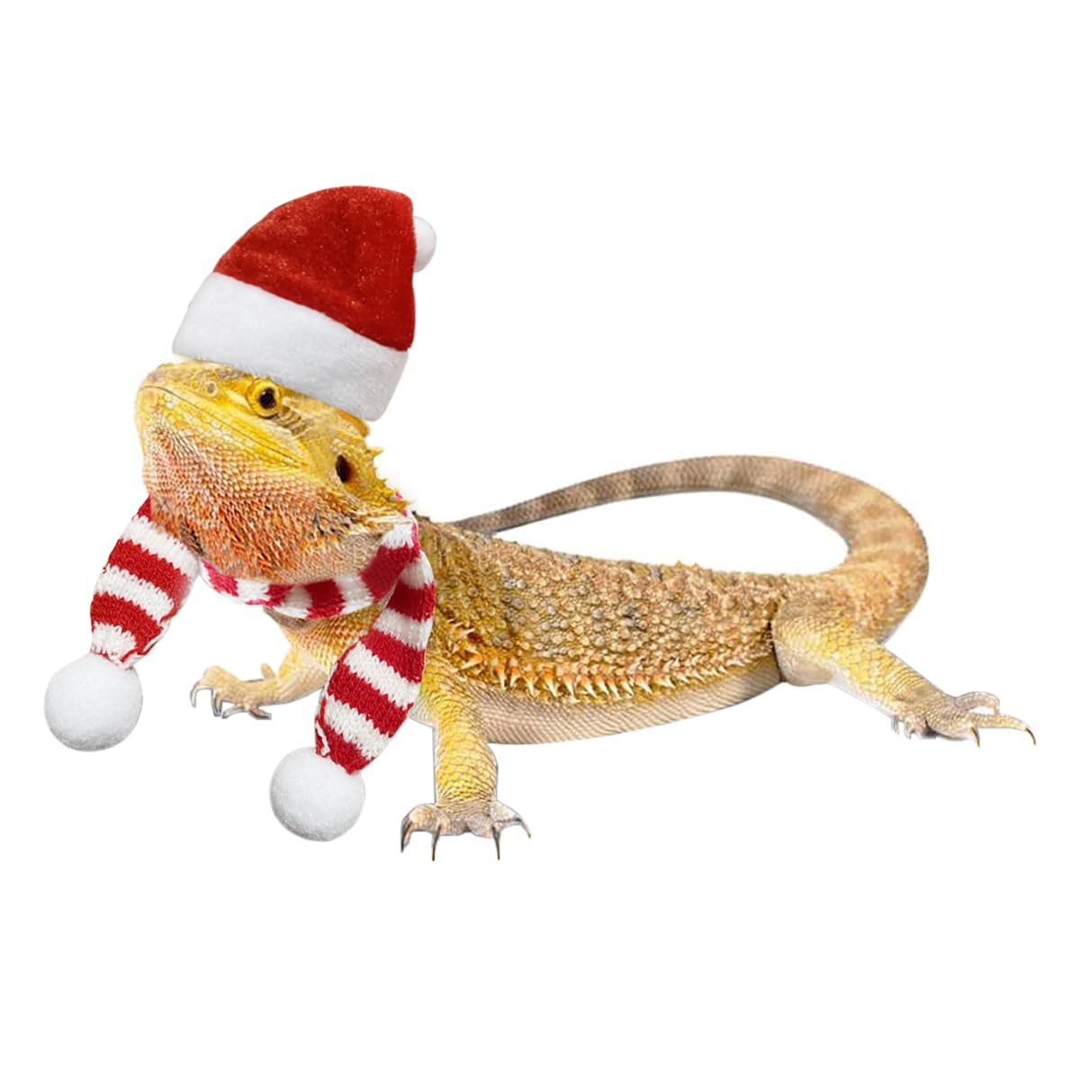 Bearded Dragon Santa Hat and Scarf Set Adjustable Christmas Costume for Small Animals Gecko Chameleon Juvenile Iguana Lizard Reptile (Red) - Image 4