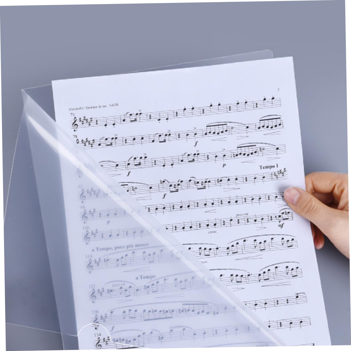 SHINEOFI 50piezas Unidades Carpeta Transparente De Plástico Resistente Para Documentos Funda Protectora Para Oficina Escolares y Archivos