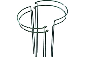 LEOBRO Plant Hydrangea Stakes