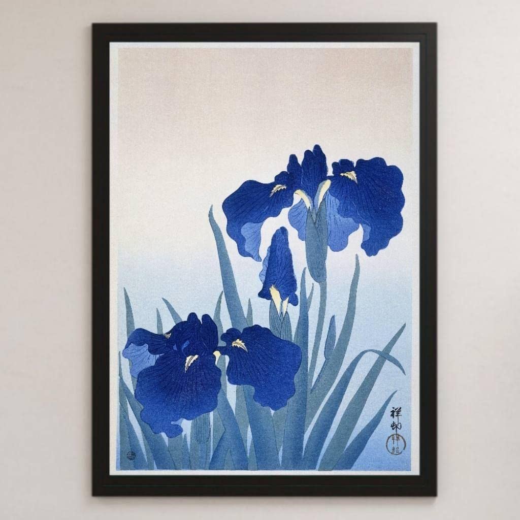 肥後象嵌 光助作 「菖蒲（アヤメ）」伝統工芸 額装 絵画 Amazon.co.jp: 小原古邨『菖蒲(アヤメ) 』浮世絵 アート 光沢 ポスター