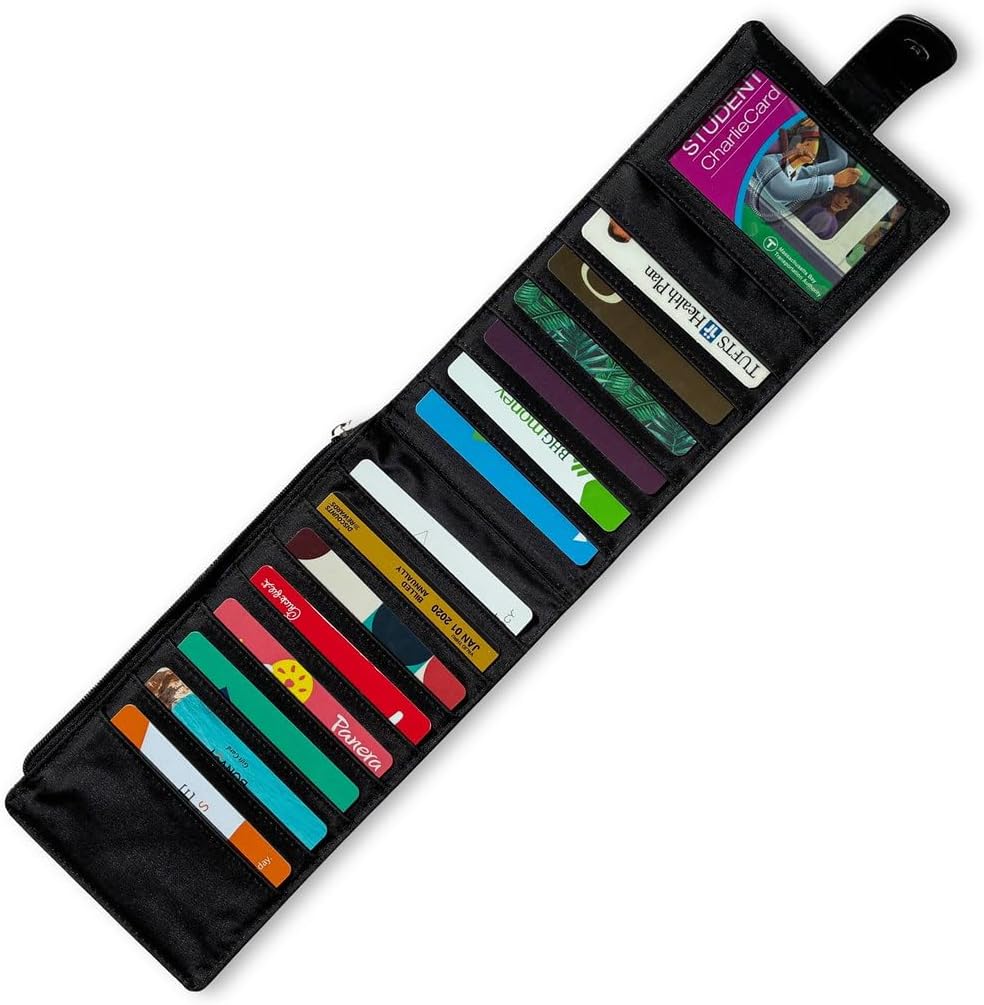 Big Skinny Womens Monte Cougar Nylon Long Wallet (Black)