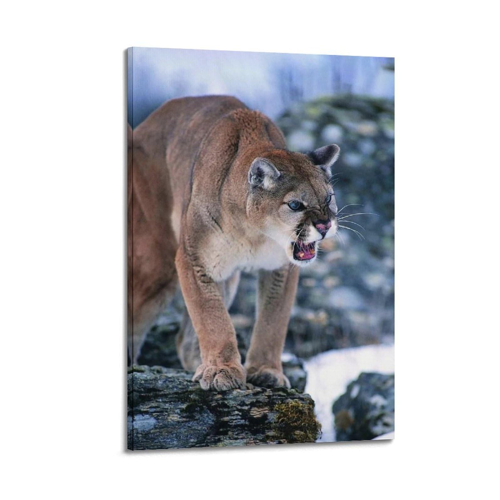 XKUGA Wild Felines Poster Cougar Big Cat Habitat Modern Decorative Canvas Prints - Ideal Wall Art for Family, Man Cave, Game Room, Boys & Girls Bedroom 20x30inch(50x75cm)