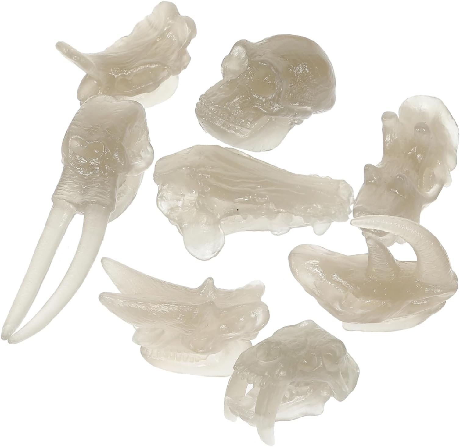 Vaguelly Dinosaur Bone Molds 1 Set Kids Toys Childrens Toys Children’s Toys Decor Dinosaurs Models Dinosaurs Prop Dinosaur Models Glow-in -dark Dinosaur Bones Pvc Desktop 3d Brachiosaurus