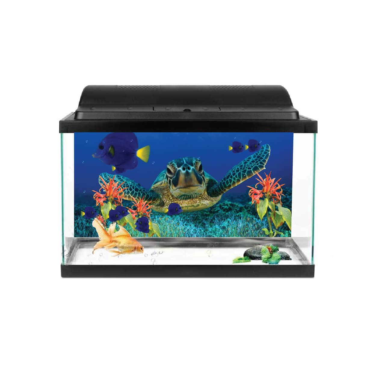 VVWV® Turtle Aquarium Background colourfull Stickers Fish Tank Waterproof Vinyl Printed Multicolored Sticker (61 x 30 CMS) (B0BWJR78T5) Amazon Price History, Amazon Price Tracker