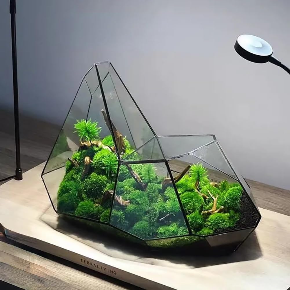 Małe nieregularne geometryczne terrarium, szklane terrarium geometryczne, miniaturowe szklane terrarium, doniczka, ręcznie wykonane, nieregularne pojemniki do terrarium na sukulenty, paprocie, rośliny