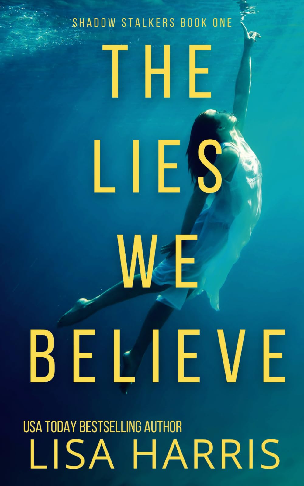 The Lies We Believe: A gripping psychological thriller: 1 (Shadow Stalkers)