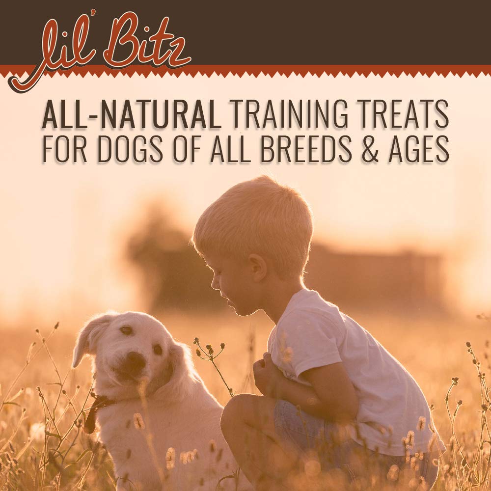 EXPIRED AUG 18 2022 Lil' Bitz Hickory Smoked Beef Training Treats for All Dog Breeds - Low Calories, Grain Free, Natural Ingredients, NASC Compliance - Perfect Reward for Dogs of Every Size (4 oz)
