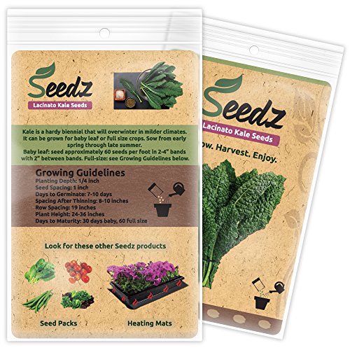 Organic Kale Seeds, Appr. 550, Lacinato Kale, Heirloom Vegetable Seeds, Certified Organic, Non Gmo, Non Hybrid, Usa #TOP2